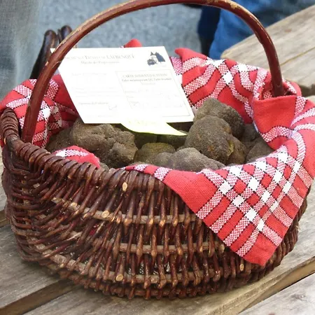 A Deux Pas De St Cirq Lapopie, La Du 